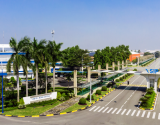 KDC Việt-Sing